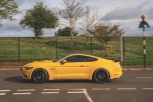 Mustang Day 2024