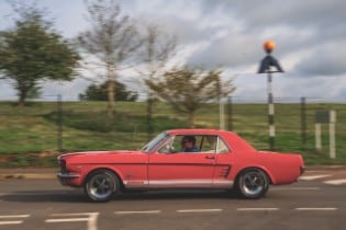 Mustang Day 2024