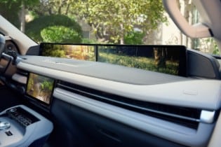 Lincoln Rejuvenate Forest Meditation