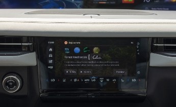 Lincoln Rejuvenate Forest Meditation