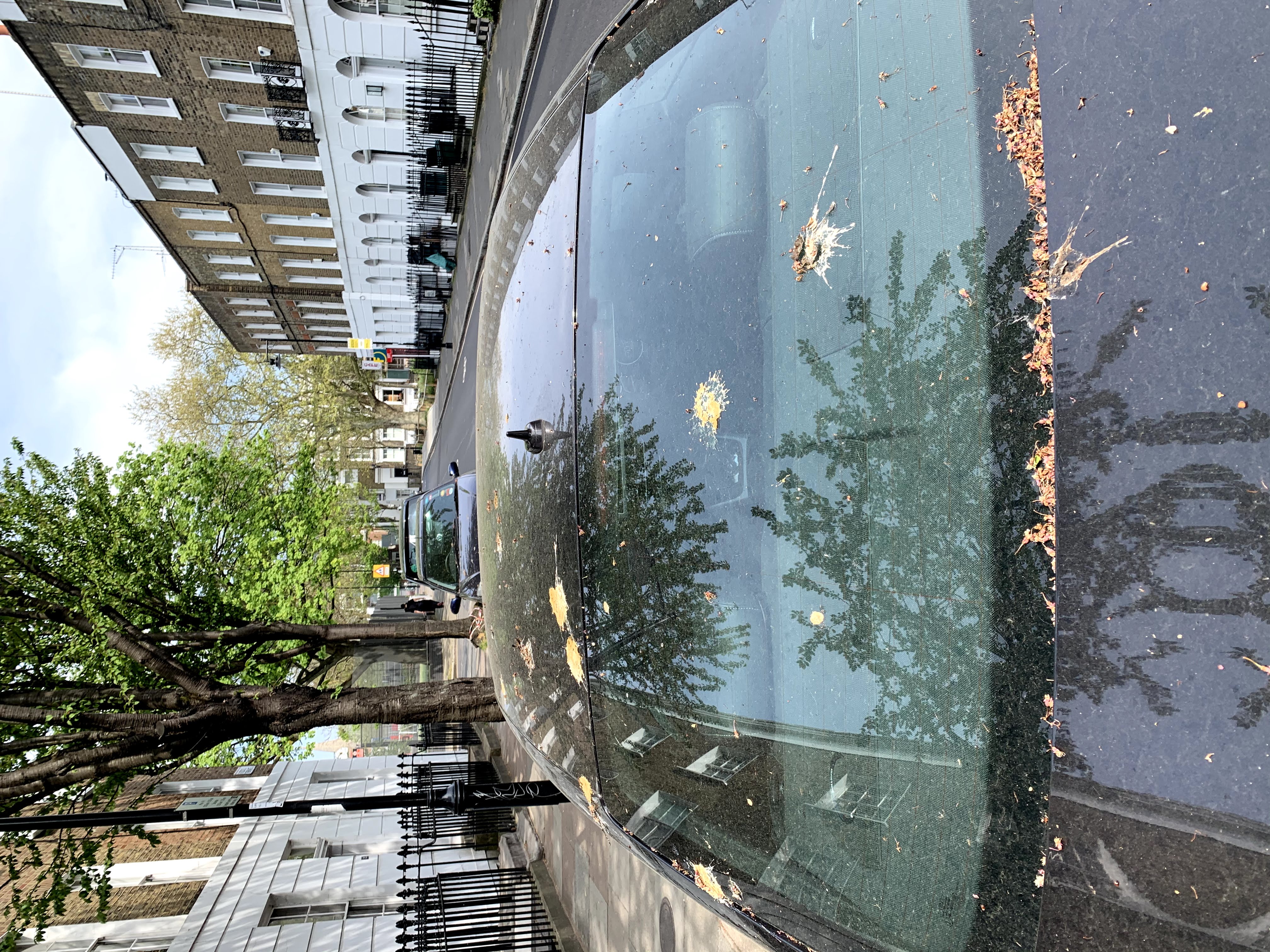 How Artificial Bird Poop Keeps Your Paintwork Safe in the Real World